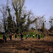 plantation d'arbres selon la méthode du botaniste Miyawaki.