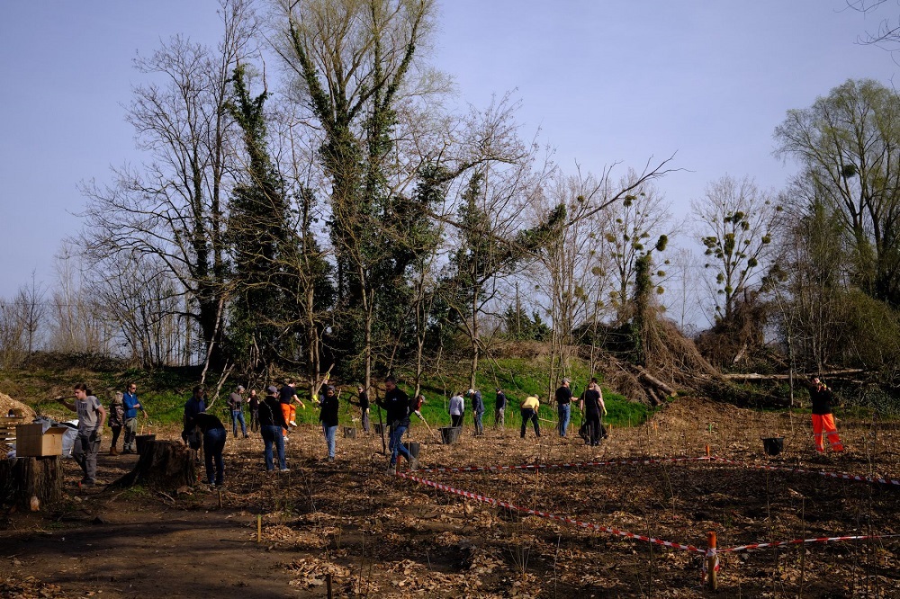 plantation d'arbres selon la méthode du botaniste Miyawaki.