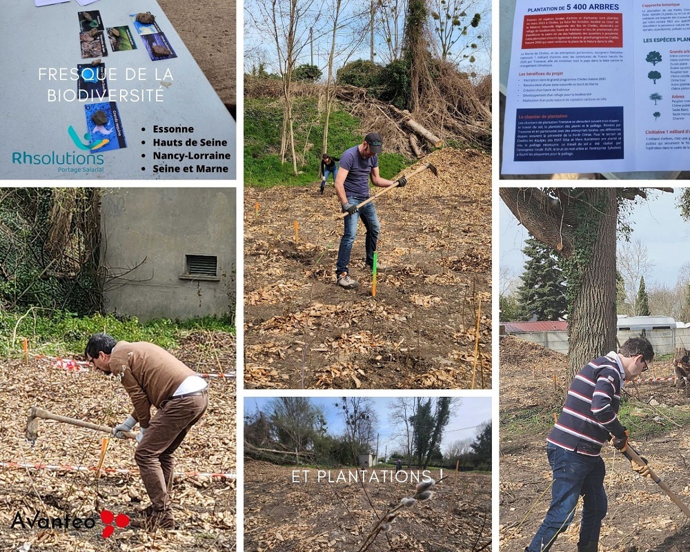 François Loubignac (RH Solutions Boulogne-Billancourt), Céline Romain (RH Solutions Seine et Marne) et 2 consultants du réseau francilien ont participé à Chelles, à la plantation d'arbres 