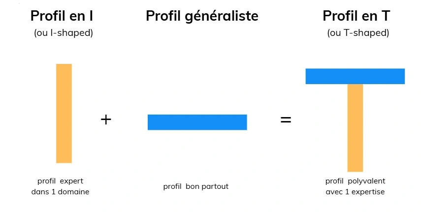 profil T Shape avec 3 cas